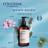 L'Occitane Balancing Shampoo 75ml + Shea Butter Moisturizer 75ml Long-lasting Moisturizing Repair Birthday Gift