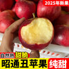 2025 Authentic Yunnan Zhaotong Rock Candy Apple Fresh Fruit Apple Seasonal Crisp Sweet Fruit Origin Straight Hair 5 Jin Pack Medium Fruit (70-80mm)