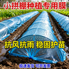 Agricultural plastic film, small shed film, dripping film, special film for greenhouse planting, transparent vegetable growing plastic, thermal insulation and cold protection 4 silk blue dripping film, new material 2.2m*15m