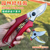 Yusenyi pruning shears Liaoning Xiongyue scissors garden pruning thick branches hand shear bonsai scissors fruit Dongfeng red handle does not come with spring