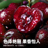 Shengrong Fruits and Vegetables Chilean imported cherries JD/SF - next-day delivery to many places Cherry fresh fruit gift box gift box 5 pounds (net weight) The most cost-effective high-end gift box Black diamond level Big Mac 3J 30-32mm