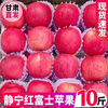 SF Gansu Tianshui Jingning apple 9 pounds freshly picked crisp sweet red Fuji unwaxed fresh fruit rock candy heart L5 9 pounds medium fruit SF freshly picked/crisp sweet and juicy