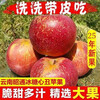 25-year-old Yunnan Zhaotong Ugly Apple Rock Candy Heart Authentic Gift Box Fresh Apple Fruit Seasonal Whole Box Flat Fruit Full Box 6 Jin Large Fruit Fruit Diameter 75-80 Net Weight 5 Jin