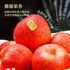 Jingxiansheng Yunnan Red Apples 8-piece gift box, single fruit 170g+, fresh fruits delivered directly from the source