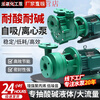 FPZ self-priming pump FP centrifugal pump reinforced polypropylene anti-corrosion chemical pump acid and alkali resistant plastic 32FPZ11 750W self-priming pump 380v