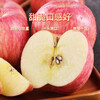 Authentic Shanxi Red Fuji Apple Fruit Crispy Sweet Ugly Apple Fresh Fruit Whole Box Gift Box 8.5 Jin 75mm