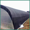 Yiying sunshade net black sunscreen net winter cold protection net thickened encryption insulation net 6 needles 6x50m