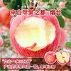 Crisp and sweet red Fuji apples, Shandong Yantai Qixia ugly apples, fresh fruit, whole box, 5 catties in box, sweet and medium-sized fruit