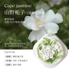 Jingxun Wardrobe Aromatherapy 3 Boxes Wardrobe Gypsum Fragrance Tablets Home Bedroom Long-lasting Fragrance Room Fragrance Girls Gardenia