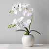 Fan Ye's butterfly orchid simulation flower art set Chinese-style living room dining table entrance hall fake flower ornaments TV cabinet desktop decoration silk flowers