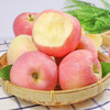 Authentic Shanxi Red Fuji Apple Fruit Crispy Sweet Ugly Apple Fresh Fruit Whole Box Gift Box 8.5 Jin 75mm