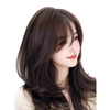Qiansiya wig for women with long hair, no need to wear a hair net, to replace the hair on the top of the head, fluffy and increase the hair volume, cover white hair, high skull curly wig, Korean style micro curly hair - French style 9*12 natural color 45cm