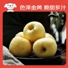 Jingxiansheng Shandong Yantai Huang Yuanshuai apples are sour and sweet. Net weight is 8.5 pounds. Single fruit is 75-80mm. Directly shipped from the source. Free shipping.