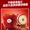 Aifei new season fresh fruit imported from the United States Aifei apple large fruit 8 pieces high-end fresh fruit New Year's Day gift box style large fruit 8 pieces