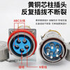 TypeBJ-60YT Yueqing Libo explosion-proof plug aviation socket non-sparking connector pin 5j plug (male) BJ-YT 25A_single-phase three-pole-3 core