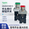 Schneider flat head illuminated button XB2BW33B1C self-reset XB2BW34B1C green normally open red normally closed XB2BW34M1C_red normally open_220V