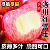 Jingmi Luochuan Red Fuji Apple 4.5kg, single fruit 235g+, seasonal fresh fruit, crispy and sweet, straight from the source