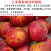 Jingxiansheng Sichuan Daliangshan Ugly Apples 4.5 catties single fruit 80mm+ Yanyuan Ugly Apples straight from the source