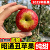 2025 Authentic Yunnan Zhaotong Rock Candy Apple Fresh Fruit Apple Seasonal Crisp Sweet Fruit Origin Straight Hair 9 Jin Pack Medium Fruit (70-80mm)