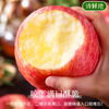 Jingdida Yantai Apple Red Fuji 18 pieces 9 catties large fruit 80mm + fruit crispy sweet fresh fruit direct delivery from the source free shipping
