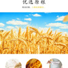 Xiangmanyuan delicious refined wheat flour 10 pounds, steamed bun flour, dumpling flour, noodle flour