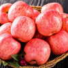 Jingxiansheng Shandong Yantai Red Fuji Apples 9 pounds, fruit diameter starting from 85mm, fresh fruit, straight from the source