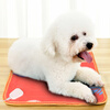 Pet Neighbor Winter Heating Pad Pet Electric Blanket Constant Temperature Heating Blanket Office Heating Cushion Color Random