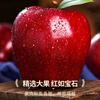 Jingdida Gansu Tianshui Huaniu apple, net weight 4.5 catties, single fruit 210g, pink apple noodles, apples shipped directly from the source, free shipping