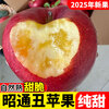 25-year-old Yunnan Zhaotong Ugly Apple Rock Candy Heart Authentic Gift Box Fresh Apple Fruit Seasonal Whole Box Flat Fruit 1 catties Small Fruit (60-70mm)