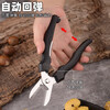 Shimao Chestnut Opener Peeling Chestnut Artifact Board Sheller Peeling Special Tool Shelling Chestnut Knife Chestnut Clamp QC Black Chestnut Opening Scissors
