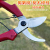 Yusenyi pruning shears Liaoning Xiongyue scissors garden pruning thick branches hand shear bonsai scissors fruit Dongfeng red handle does not come with spring