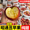 25-year-old Yunnan Zhaotong Ugly Apple Rock Candy Heart Authentic Gift Box Fresh Apple Fruit Seasonal Whole Box Flat Fruit 1 catties Small Fruit (60-70mm)
