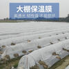 Transparent agricultural plastic film for growing vegetables, small shed film, mulching film, special film for greenhouse planting, plastic paper for heat preservation and cold protection, 4S special film for small shed, 2 meters wide and 10 meters long