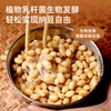 Shangchuan Natto bacteria powder 1g*10 packs Home-made domestic Natto fermentation bacteria powder starter Nattokinase strain