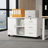 Olin European style file cabinet office under desk storage cabinet low cabinet with lock file cabinet simple office cabinet small cabinet