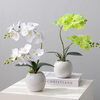 Fan Ye's butterfly orchid simulation flower art set Chinese-style living room dining table entrance hall fake flower ornaments TV cabinet desktop decoration silk flowers