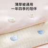 Bao's Quilt Fixer Nailless Soft Pin Safety Sheet Quilt Cover Corner Fixing Artifact Invisible Buckle Anti-Slip Anti-Run Bear