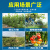 Anti-aging plastic sheet greenhouse plastic film anti-aging drip-free film vegetable greenhouse insulation film transparent greenhouse film 10S thick imported anti-aging high insulation greenhouse film 2 meters wide and 35 meters long