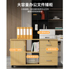 Olin European style file cabinet office under desk storage cabinet low cabinet with lock file cabinet simple office cabinet small cabinet