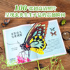 DK Collection Museum Series DK Extraordinary Insects by Jesse French 5 years old + children's popular science