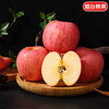 Jingdida Yantai Qixia Red Fuji apple net weight 4.5 catties large fruit 250g fresh fruit direct from the source with free shipping