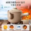 Sister-in-law Jin's old-fashioned open fire decoction casserole to boil traditional Chinese medicine, special pot to decoct medicine pot, medicine pot, household medicine crock pot, frying pan 2.8L