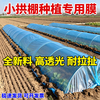 Agricultural plastic film, small shed film, dripping film, special film for greenhouse planting, transparent vegetable growing plastic, thermal insulation and cold protection 4 silk blue dripping film, new material 2.2m*15m