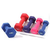 Ms. Meikejie's solid cast iron plastic-coated dumbbell home fitness yoga shaping plastic-impregnated small dumbbell red 1KG (0.5kg*2)