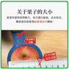 Jingdida Sichuan Daliangshan Ugly Apple 4.5kg single fruit 75mm+ fresh fruit direct from source with free shipping