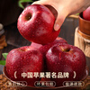 Jingdida Gansu Tianshui Huaniu apple, net weight 4.5 catties, single fruit 210g, pink apple noodles, apples shipped directly from the source, free shipping