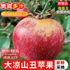 Jingdida Sichuan Daliangshan Ugly Apple 4.5kg single fruit 75mm+ fresh fruit direct from source with free shipping