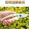 Ginger Yunaoski pruning shears Alice 130DX flower shears gardening shears garden scissors fruit tree shears