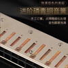 Dongfangding German imported gongs 28-hole polyphonic harmonica twelve-key accent C-key high-end adult professional performance instrument 28-hole A key golden polyphony