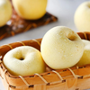 Beijing Fresh Shandong Cream Fuji Apple, net weight 5 pounds, single fruit 85-90mm, fresh fruit, direct shipping from the source, free shipping